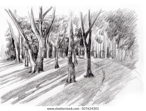 Woods Sketch Pencil Hand Drawing Stock Illustration 507624301