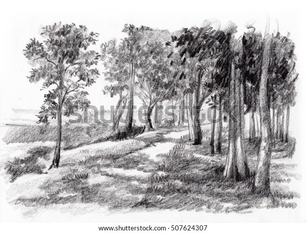 Woods Sketch Pencil Hand Drawing Stock Illustration 507624307