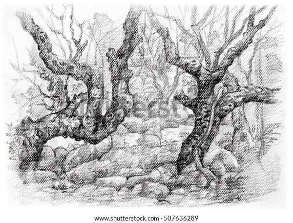 Woods Sketch Pencil Hand Drawing Stock Illustration 507636289