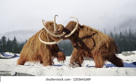 woolly mammoth bulls fighting, prehistoric ice age mammals in snow covered landscape (3d rendering)