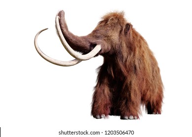woolly mammoth, extinct prehistoric animal isolated on white background (3d illustration)