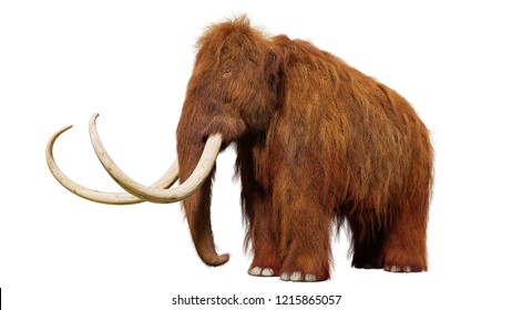 139,926 Prehistoric animals Images, Stock Photos & Vectors | Shutterstock