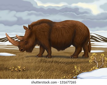 Woolly Rhino