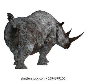 Woolly Rhino Tail 3D Illustration - The Woolly Rhino Was A Herbivorous Rhinoceros That Lived In Asia And Europe During The Pleistocene Period.