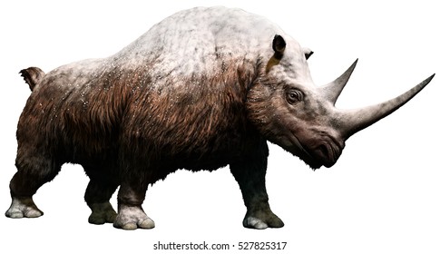 Woolly Rhinoceros 3D Illustration