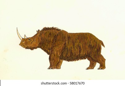 Woolly Rhinoceros (Coelodonta)