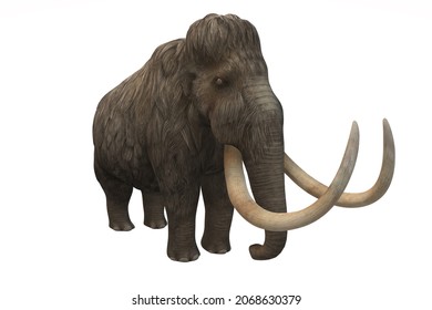 Wooly Mammoth On White Background. 3D Illustration.