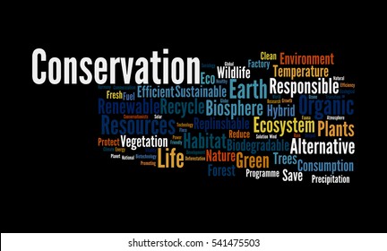 Word cloud of Conservation
