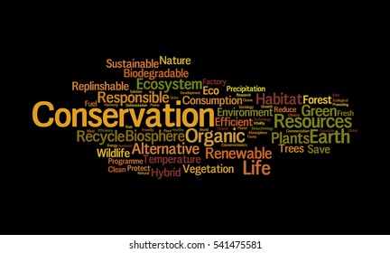 Word cloud of Conservation