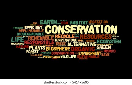Word cloud of Conservation