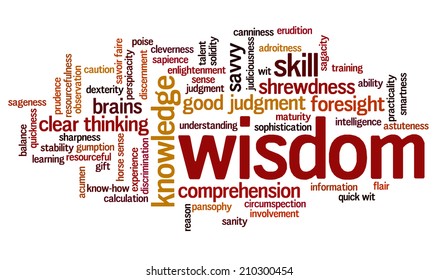 Word cloud containing terms related to wisdom, cleverness, intelligence, reason, shrewdness, skills, talent, wit, resourcefulness, foresight and knowledge.