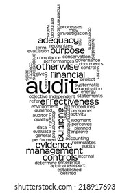 Wordcloud of Audit and its associates