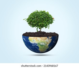 World Earth Day concept Environment Day concept Invest in our planet   Globe place safe hand for symbolic environment day  3D Design rendering white background 