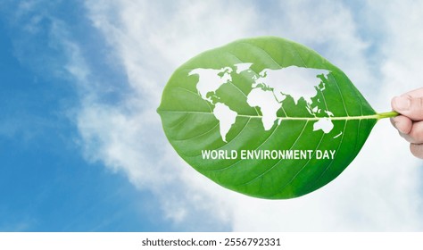 World Environment Day ecology concept. Hand holding green leaves, Renewable and Sustainable Resources Environmental Care, ment goal, volunteers help solve environmental problems  - Powered by Shutterstock