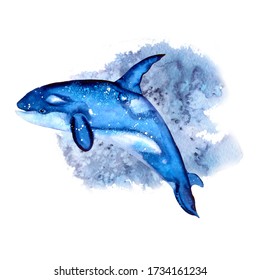 World Ocean Day  killer whale white background  Watercolor illustrations in simple realistic style for your design   print  For the design invitations  children's albums  textiles  thieves