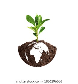 World Soil Day With Tree Plantation - Powered by Shutterstock