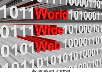 world wide web is presented in the form of binary code