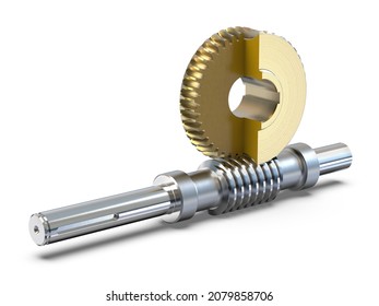 Worm gear in section isolated on white background. Section of worm wheel. 3D rendering.