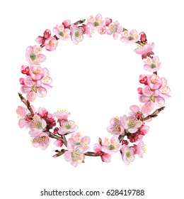 Wreath from blossoming apple-tree isolated on white background. Flowering cherry branches, apricots. Wedding frame. Sakura. Illustration. Watercolor. Handmade. Picture