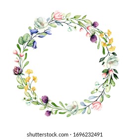 Watercolor Oval Wreath Meadow Plants Healing Stock Illustration 539998633