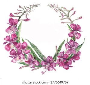 A wreath of lilac flowers. Fireweed. Watercolor.