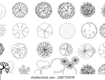 5,560 Trees Blueprint Images, Stock Photos & Vectors | Shutterstock