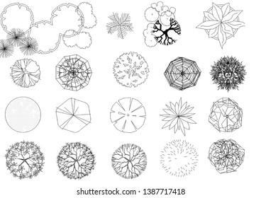 Write Blueprint Tree Plan Stock Illustration 1387717418