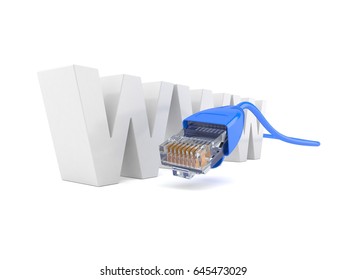 WWW text with network cable isolated on white background. 3d illustration