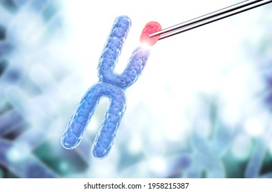 X Chromosome Break Or Replace. Genetic Engineering, GMO And Gene Manipulation Concept. Hi Tech Technology In Field Of Genetic Engineering. 3d Render