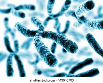 X Chromosomes - 3d Rendering