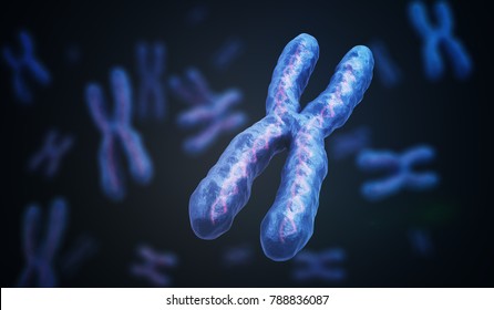 X Chromosomes with DNA molecules. Genetics concept. 3D rendered illustration.