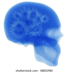 X Ray Of The Gears In Human Head