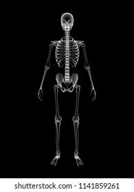 X Ray Human Body 3d Render Stock Illustration 1141859261 | Shutterstock