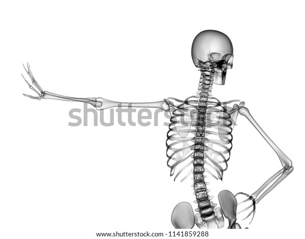 X Ray Human Body 3d Render Stock Illustration 1141859288