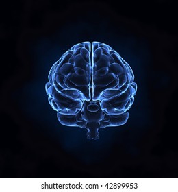 X- Ray Human Brain Front View