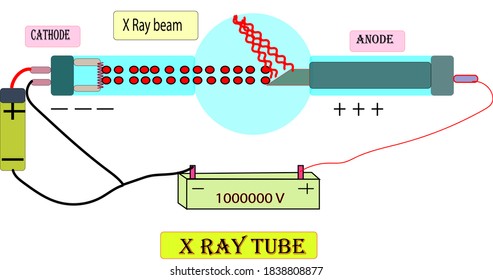 X Ray Tube.
How X Ray Machine Works?