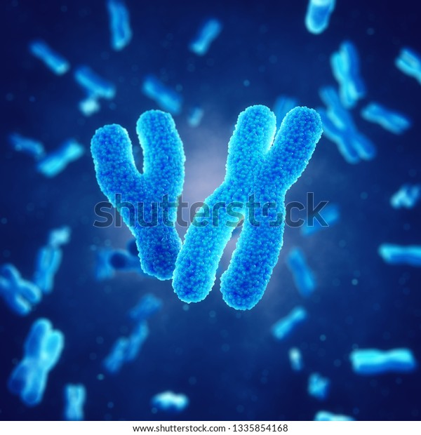 X and Y chromosomes , Genetic disorders and\
gene therapy, 3d\
illustration