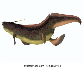 Xenacanthus Shark Tail 3Dillustration - Xenacanthus Was A Carnivorous Marine Shark That Lived In Devonian And Triassic Period Seas.