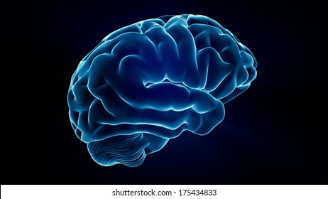 Xray Brain Isolated On Black Background