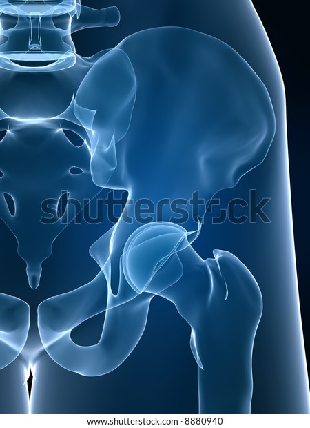 Xray Hip Stock Illustration 8880940