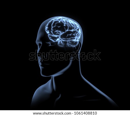 Xray Human Head and Brain