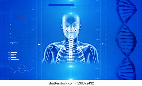 X-Ray Of Human Skeleton On High Tech Background