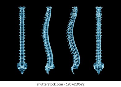 X-Ray Human Spinal Column Or Backbone Or Spine From Various Angles Isolated On Black Background 3D Render Illustration. Medical And Anatomy Imagery.