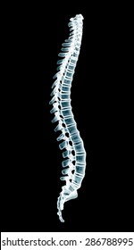 Xray Human Spine Isolated On A Black Background 