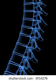 Xray Spine