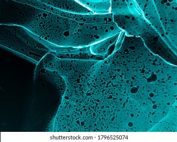 Xray Texture. Molecular Artwork With Space Effect. Blue Aquarelle Splash. Black Microscope Universe. Liquid Pattern. Micro Human Bone Scan. Turquoise Xray Texture.