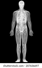 X-ray view of full human body isolated on black background. High resolution 3D image