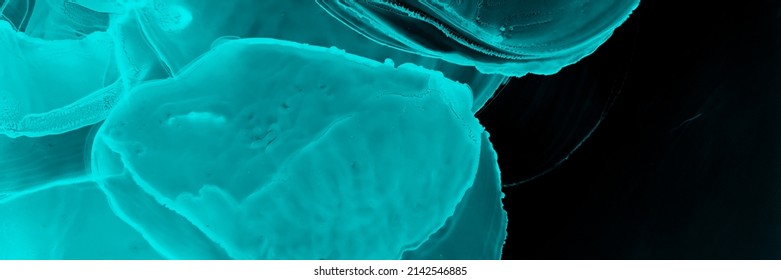 X-ray Watercolor. Turquoise Microscope Smoke. Fractal Splash With Universe Effect. Blue Biotechnology Artwork. Micro Human Body Scan. Molecular Pattern. Black X-ray Watercolor.