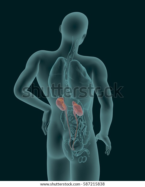 colic in humans