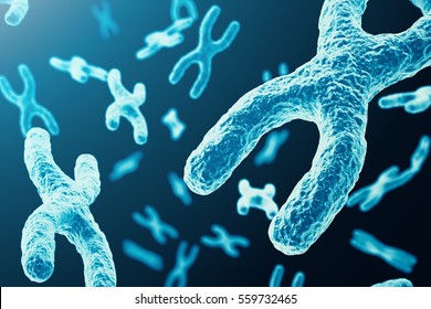 XY-chromosomes As A Concept For Human Biology Medical Symbol Gene Therapy Or Microbiology Genetics Research. 3d Rendering